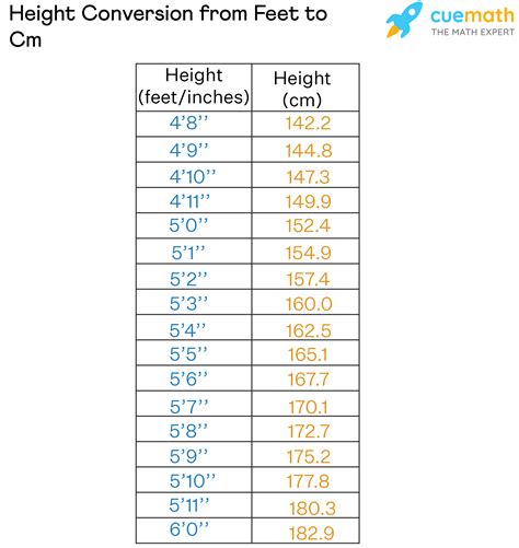 8尺 to cm|8 Feet to Centimeters Conversion